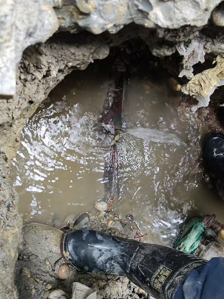 大安区本地服务：小区水管漏水检测维修